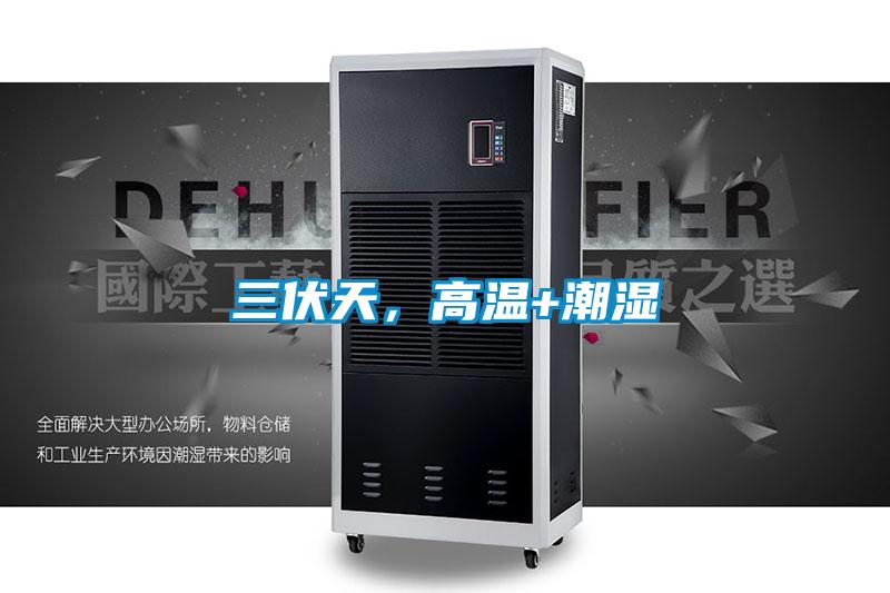 三伏天，高溫+潮濕