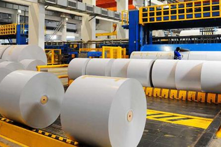 1530155370647669.jpg 紙廠.jpg