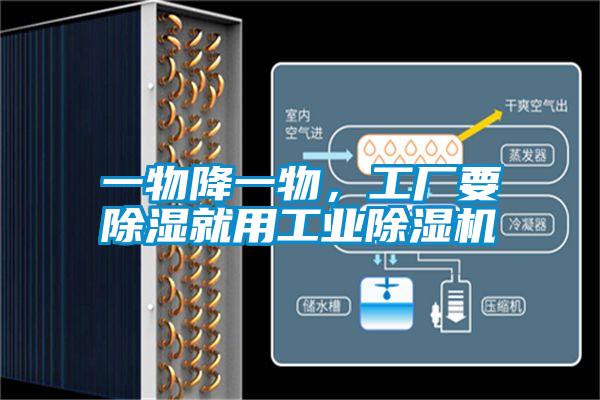 一物降一物，工廠要除濕就用工業(yè)除濕機