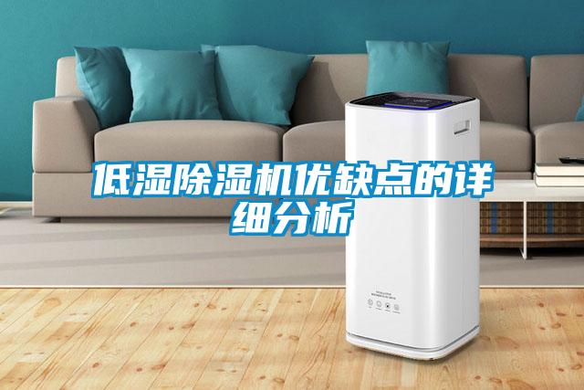 低濕除濕機(jī)優(yōu)缺點的詳細(xì)分析