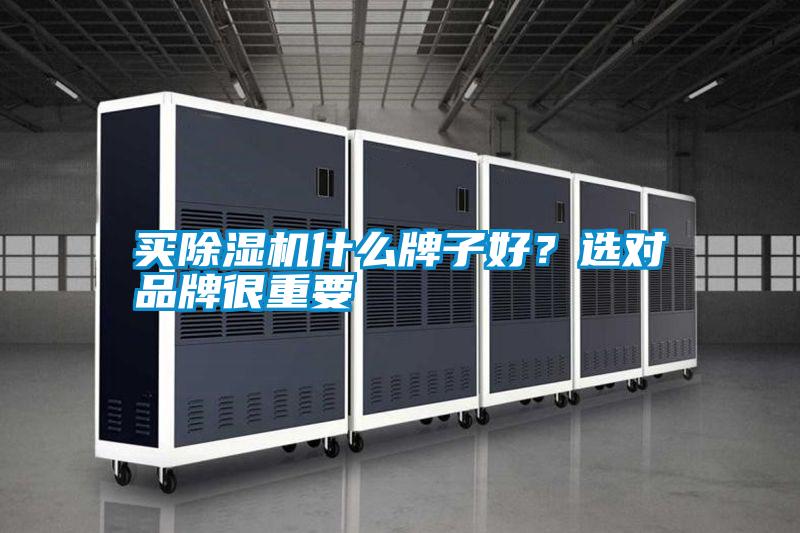 買除濕機什么牌子好？選對品牌很重要