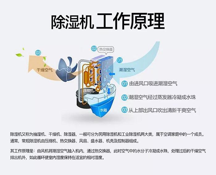 你們見(jiàn)過(guò)回南天電梯罷工嗎？