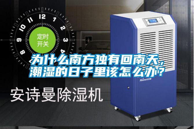 為什么南方獨(dú)有回南天，潮濕的日子里該怎么辦？