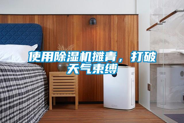使用除濕機攤青,打破天氣束縛
