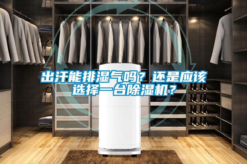 出汗能排濕氣嗎？還是應該選擇一臺除濕機？