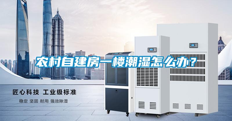 農村自建房一樓潮濕怎么辦?