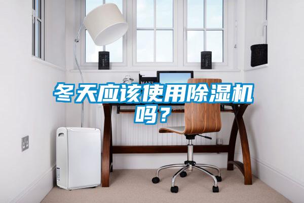 冬天應該使用除濕機嗎?