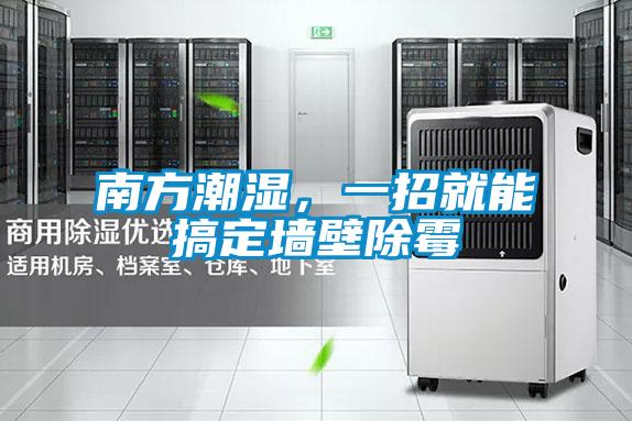 南方潮濕，一招就能搞定墻壁除霉