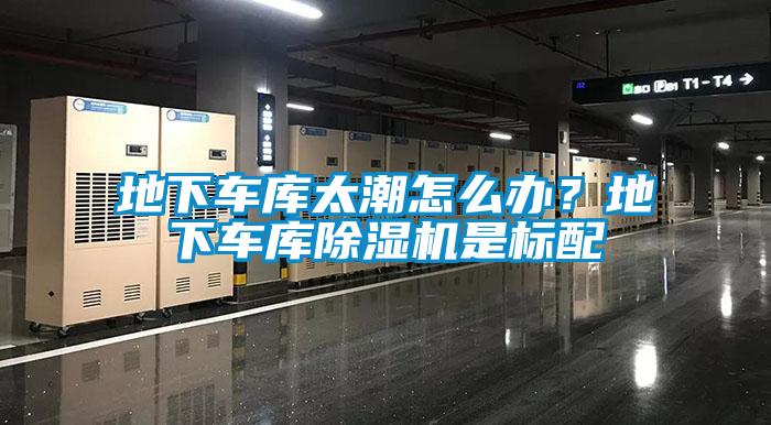 地下車庫太潮怎么辦?地下車庫除濕機是標配