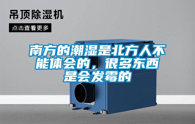 南方的潮濕是北方人不能體會的,很多東西是會發霉的