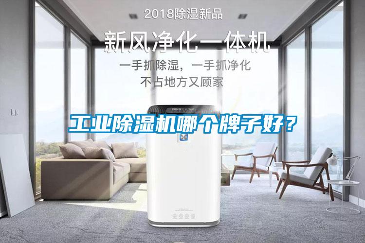 工業(yè)除濕機哪個牌子好?
