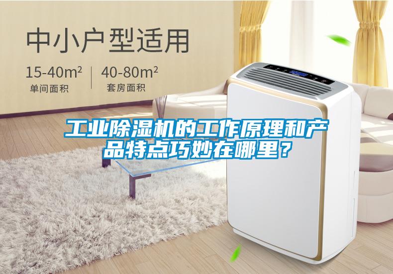 工業(yè)除濕機(jī)的工作原理和產(chǎn)品特點(diǎn)巧妙在哪里?