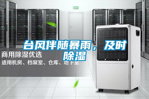 臺風(fēng)伴隨暴雨,及時除濕