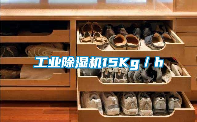 工業除濕機15Kg/h