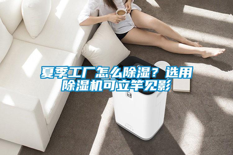夏季工廠怎么除濕?選用除濕機(jī)可立竿見影