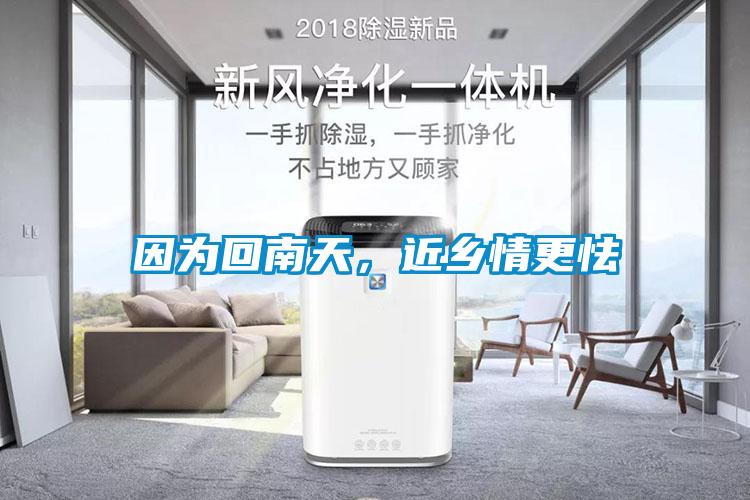 因為回南天,近鄉(xiāng)情更怯