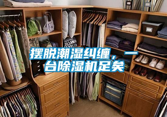 擺脫潮濕糾纏,一臺除濕機足矣