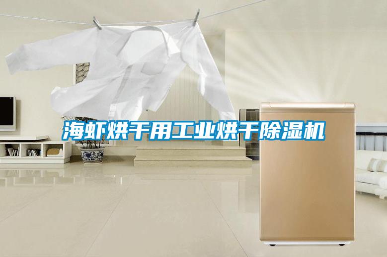 海蝦烘干用工業(yè)烘干除濕機(jī)