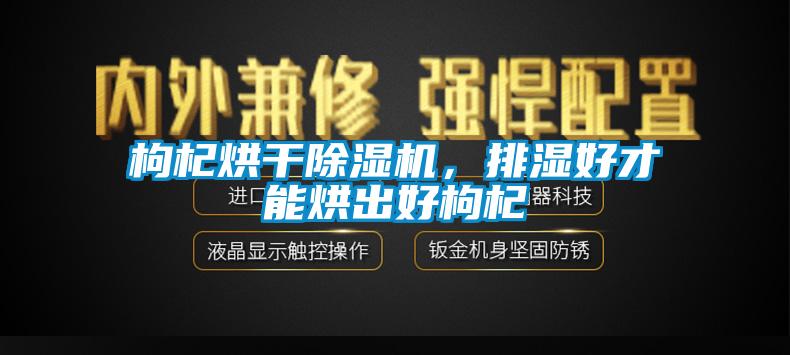 枸杞烘干除濕機(jī),排濕好才能烘出好枸杞