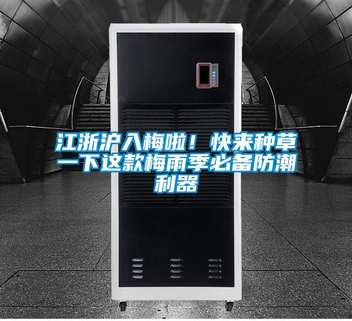 江浙滬入梅啦！快來種草一下這款梅雨季必備防潮利器