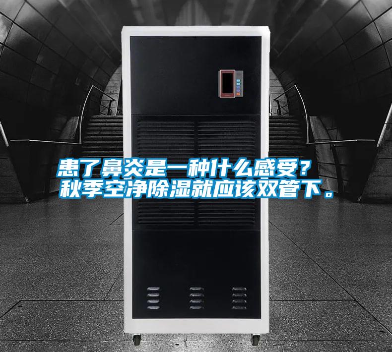 患了鼻炎是一種什么感受？ 秋季空凈除濕就應該雙管下。