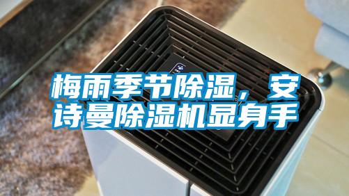 梅雨季節除濕,安詩曼除濕機顯身手