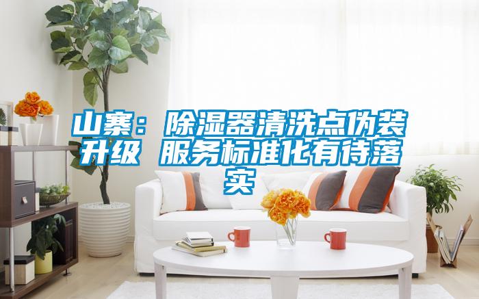 山寨:除濕器清洗點偽裝升級 服務標準化有待落實