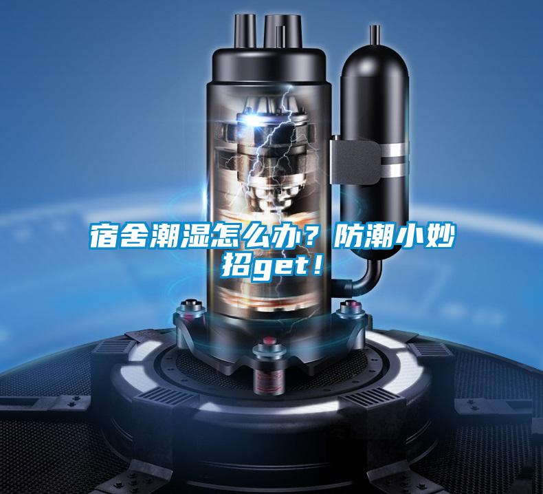 宿舍潮濕怎么辦?防潮小妙招get!