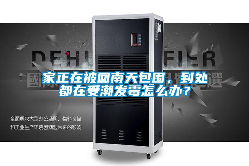 家正在被回南天包圍,到處都在受潮發(fā)霉怎么辦?