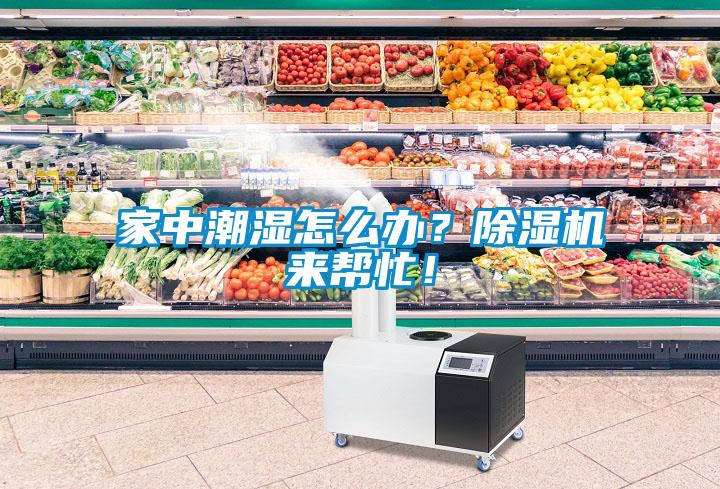 家中潮濕怎么辦?除濕機(jī)來幫忙!