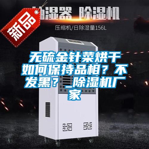 無硫金針菜烘干如何保持品相?不發(fā)黑?_除濕機(jī)廠家