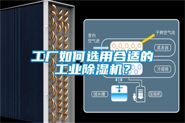 工廠如何選用合適的工業除濕機?