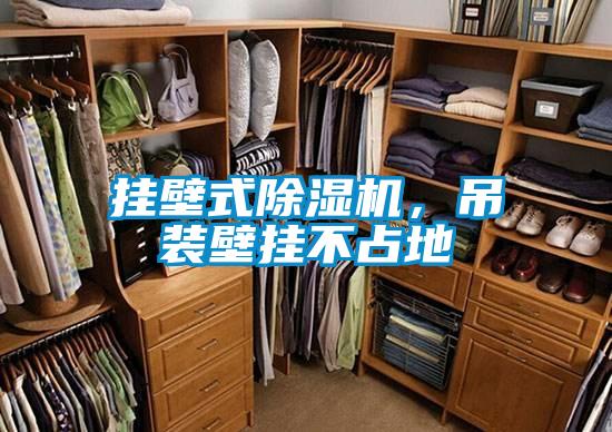 掛壁式除濕機,吊裝壁掛不占地