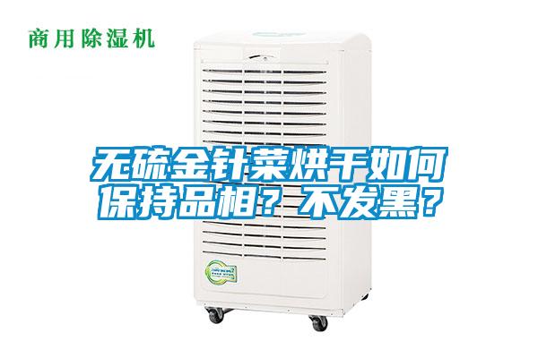 無硫金針菜烘干如何保持品相？不發(fā)黑？