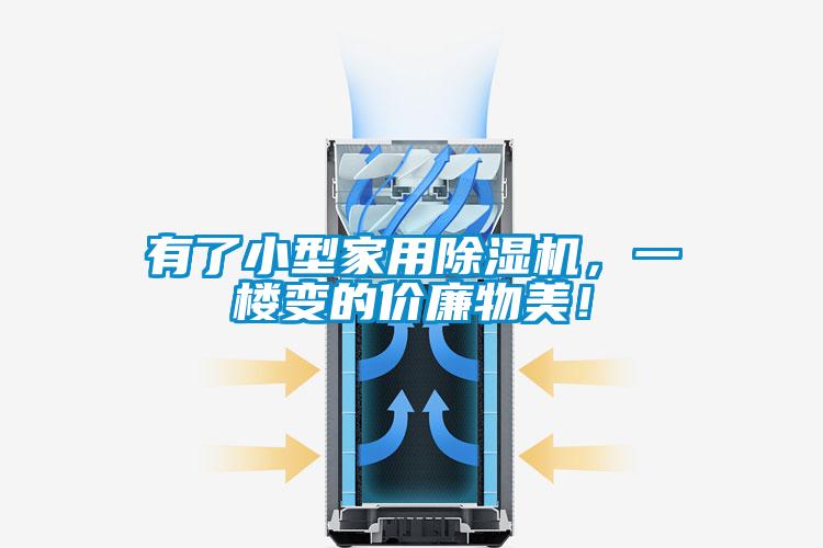 有了小型家用除濕機,一樓變的價廉物美!