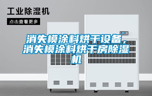消失模涂料烘干設(shè)備,消失模涂料烘干房除濕機(jī)