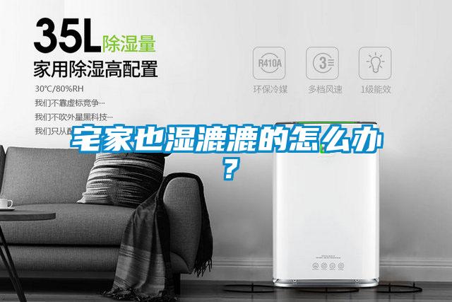 宅家也濕漉漉的怎么辦?