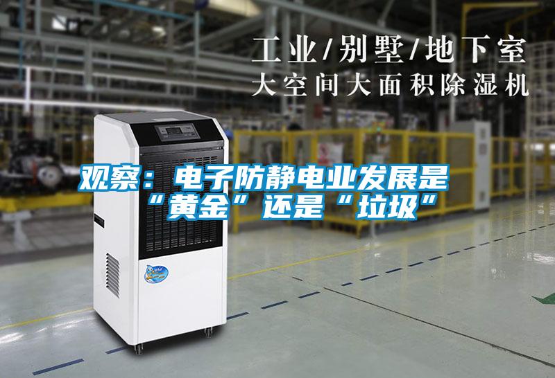 觀察:電子防靜電業(yè)發(fā)展是“黃金”還是“垃圾”