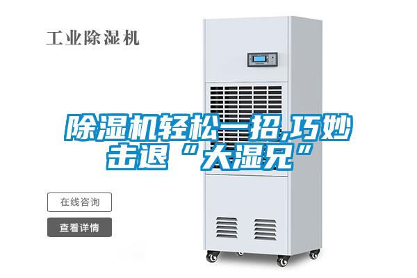 除濕機(jī)輕松一招,巧妙擊退“大濕兄”