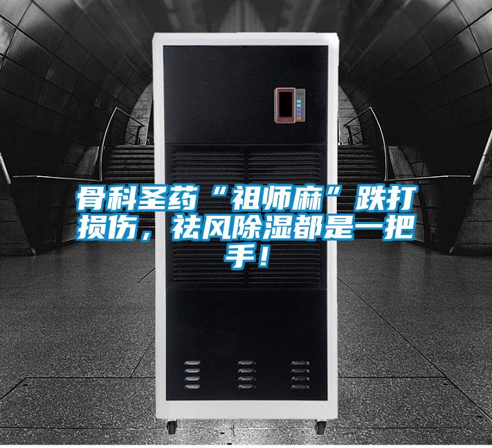 骨科圣藥“祖師麻”跌打損傷,祛風除濕都是一把手!