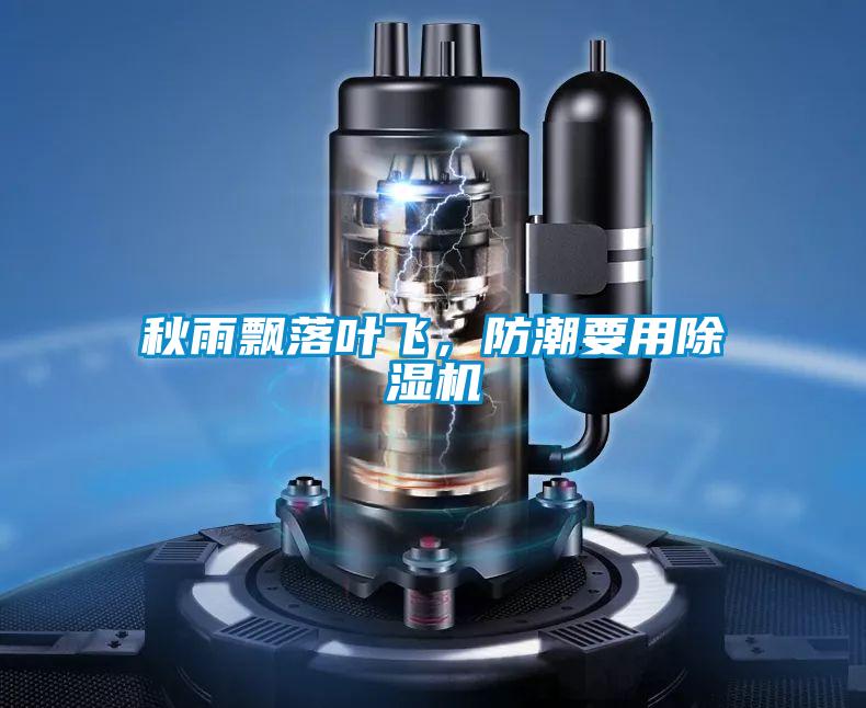 秋雨飄落葉飛，防潮要用除濕機(jī)