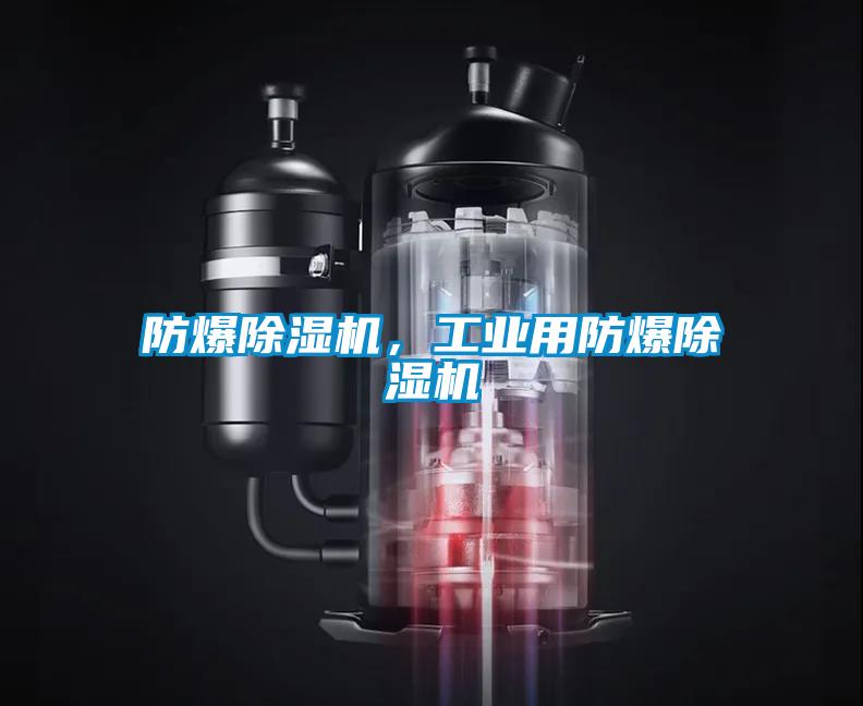防爆除濕機(jī),工業(yè)用防爆除濕機(jī)