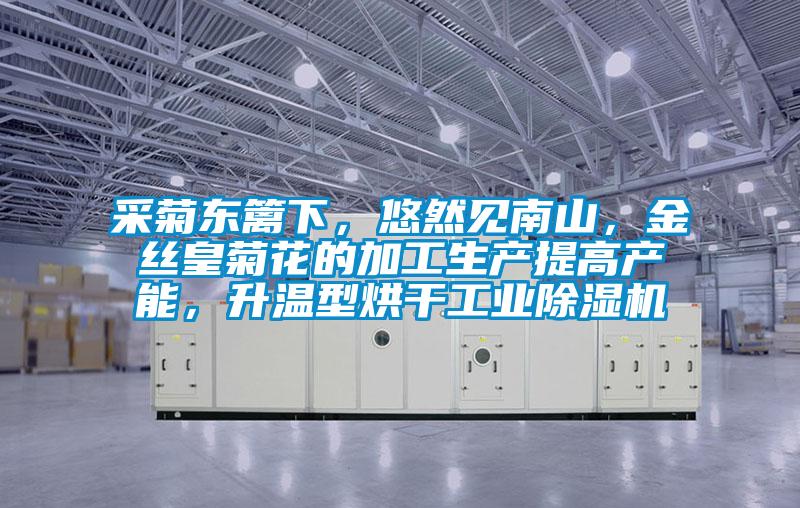 采菊東籬下,悠然見南山,金絲皇菊花的加工生產(chǎn)提高產(chǎn)能,升溫型烘干工業(yè)除濕機