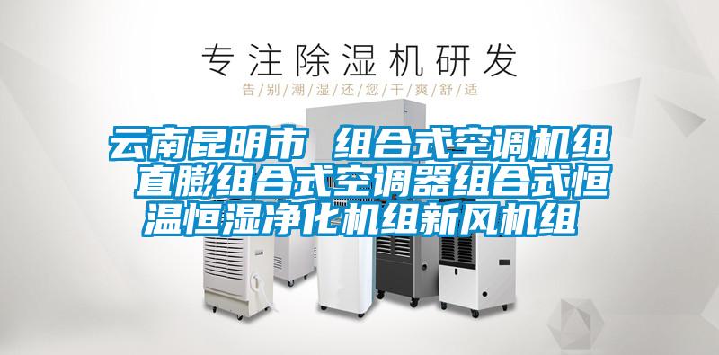 云南昆明市 組合式空調機組 直膨組合式空調器組合式恒溫恒濕凈化機組新風機組