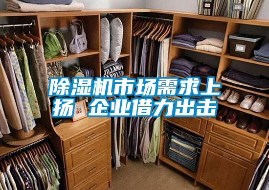 除濕機(jī)市場需求上揚 企業(yè)借力出擊