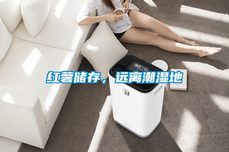 紅薯儲(chǔ)存,遠(yuǎn)離潮濕地