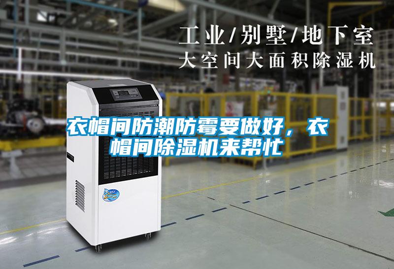衣帽間防潮防霉要做好，衣帽間除濕機來幫忙
