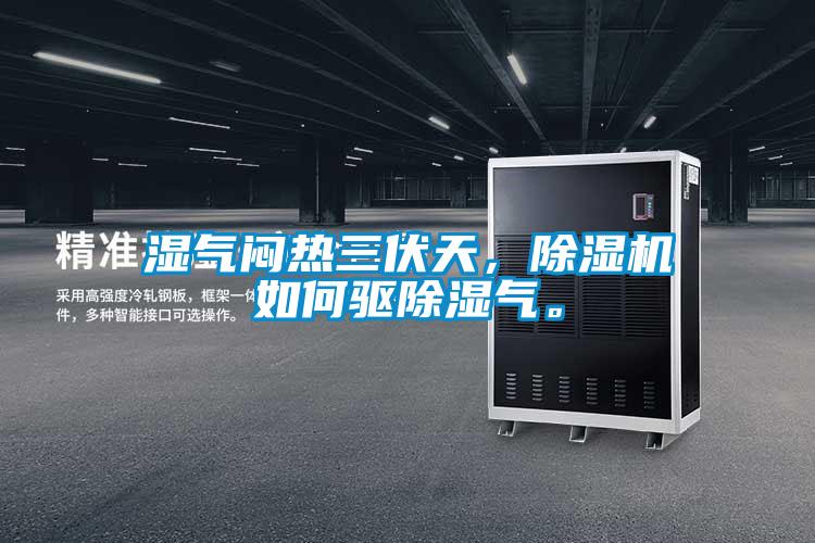 濕氣悶熱三伏天,除濕機(jī)如何驅(qū)除濕氣。