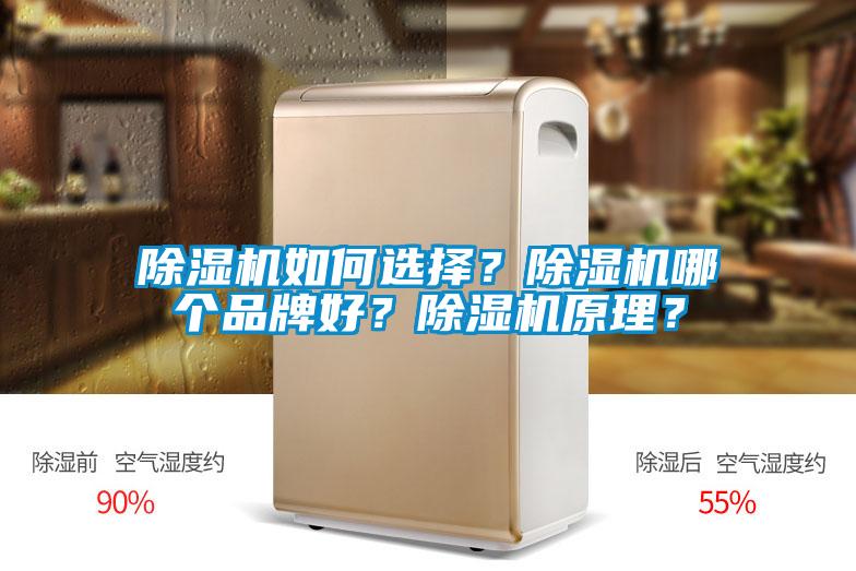 除濕機如何選擇?除濕機哪個品牌好?除濕機原理?