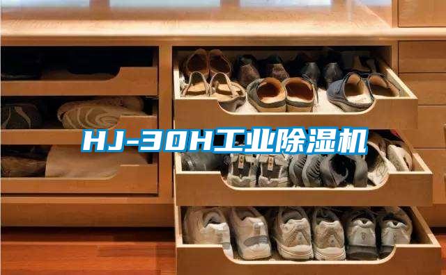 HJ-30H工業除濕機